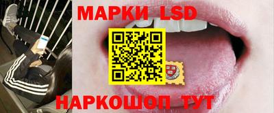 крисы Нальчик