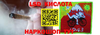 крисы Нальчик