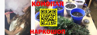 крисы Нальчик